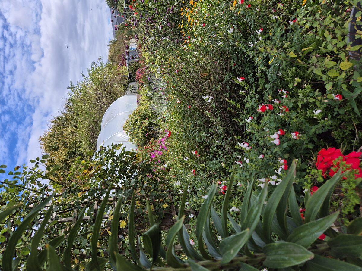 Health Means Wealth — photo 1