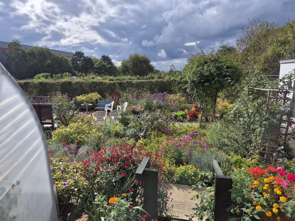 Health Means Wealth — photo 2