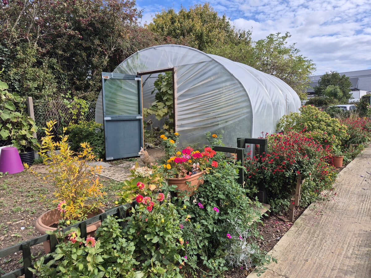 Health Means Wealth — photo 3