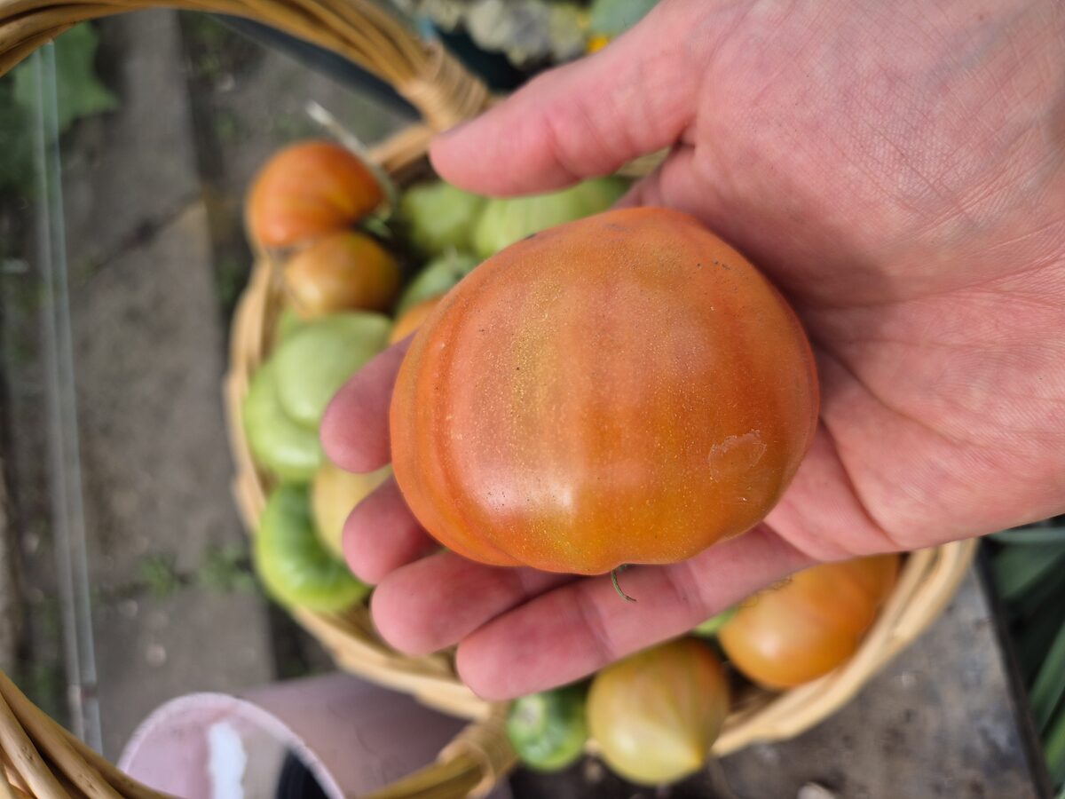 Health Means Wealth — photo 4