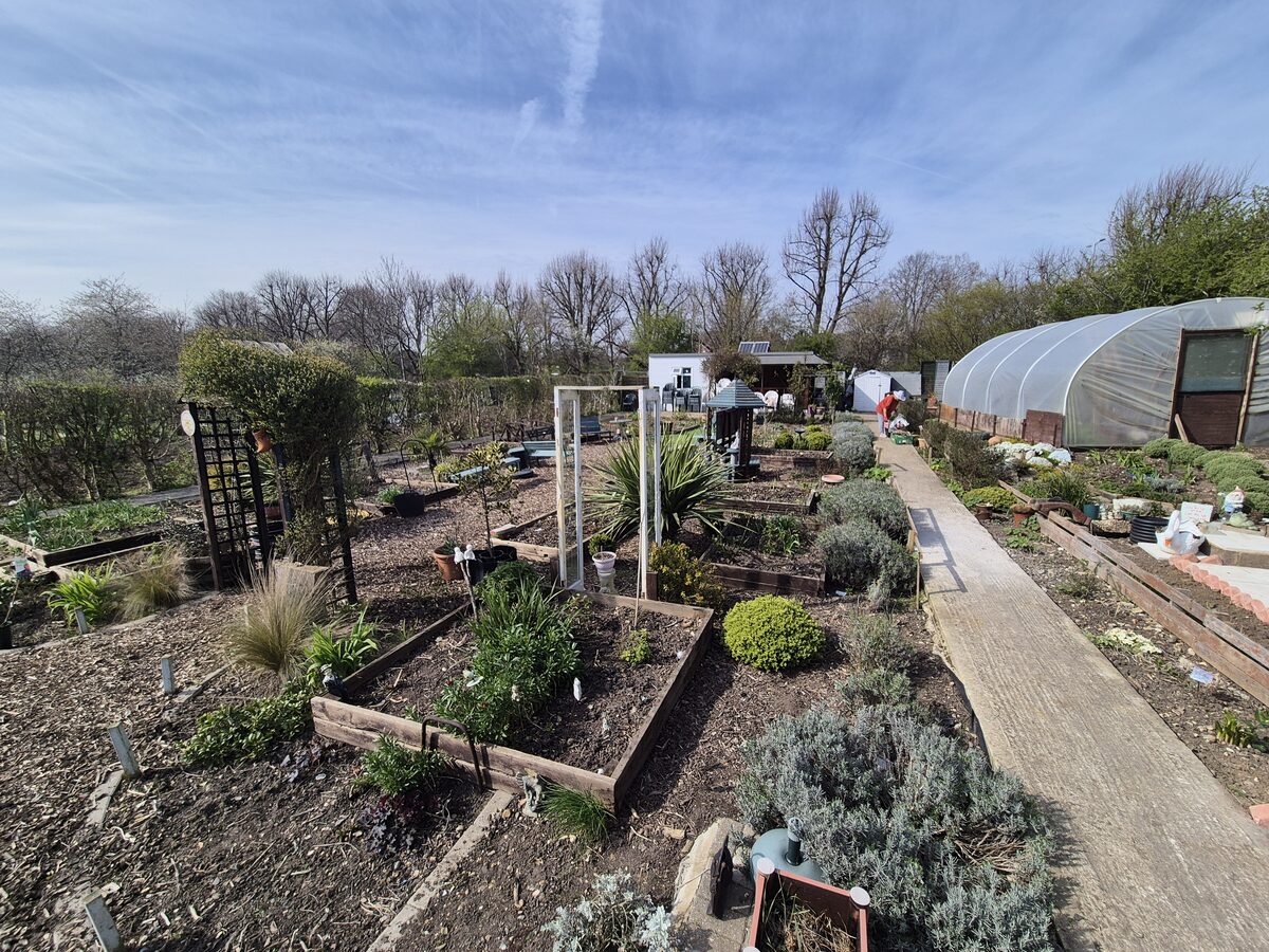 Health Means Wealth — photo 5