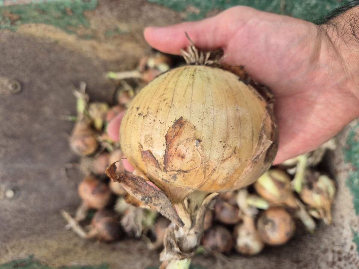 Health Means Wealth — photo 8