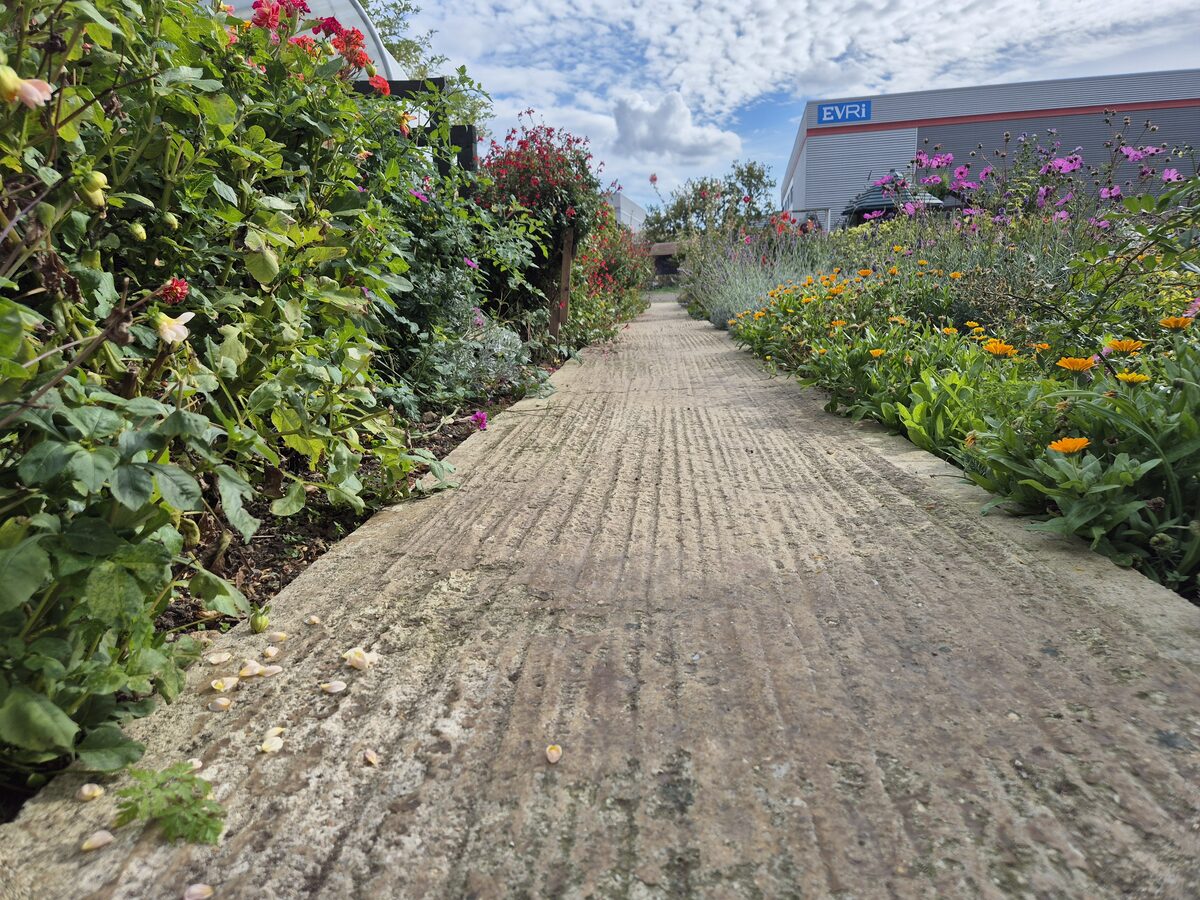 Health Means Wealth — photo 9